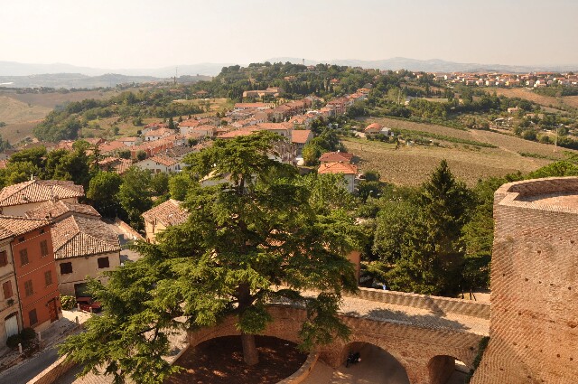 min 2009 08 22 mondavio 216